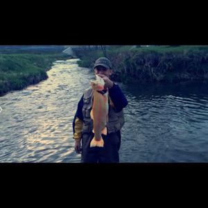 Meet your Posher, Payton